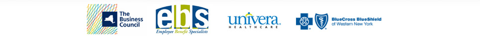 Health, Life, and Other Benfits Carriers Supported by Benefit Design Services Corp